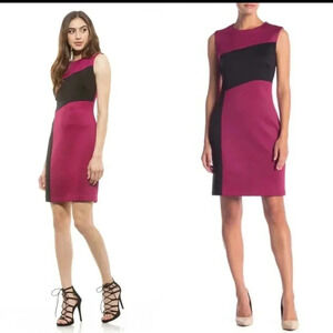 Alexia Admor Laura Colorblock Sheath Dress